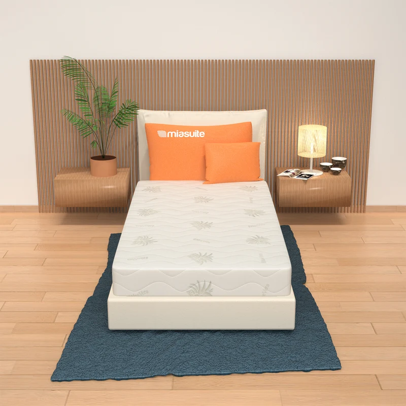 Materasso Sfoderabile, Alto 19 cm - Waterfoam, Rivestimento in Aloe Vera | Lupin I