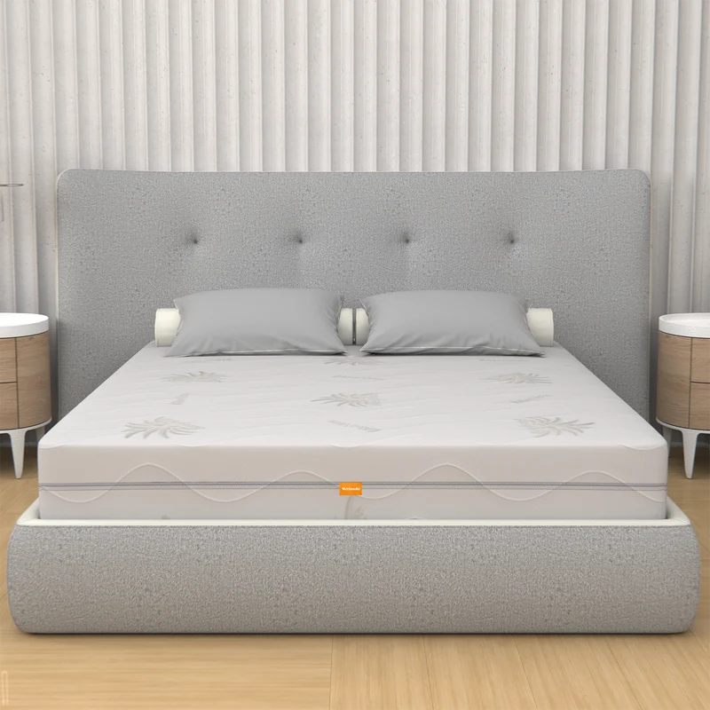 Materasso Memory Foam Sfoderabile, Alto 25 cm - 100% Aloe Vera | Premium