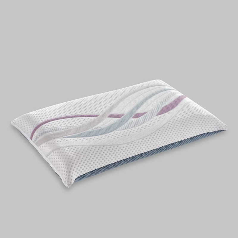 RE:GENERATION PILLOW