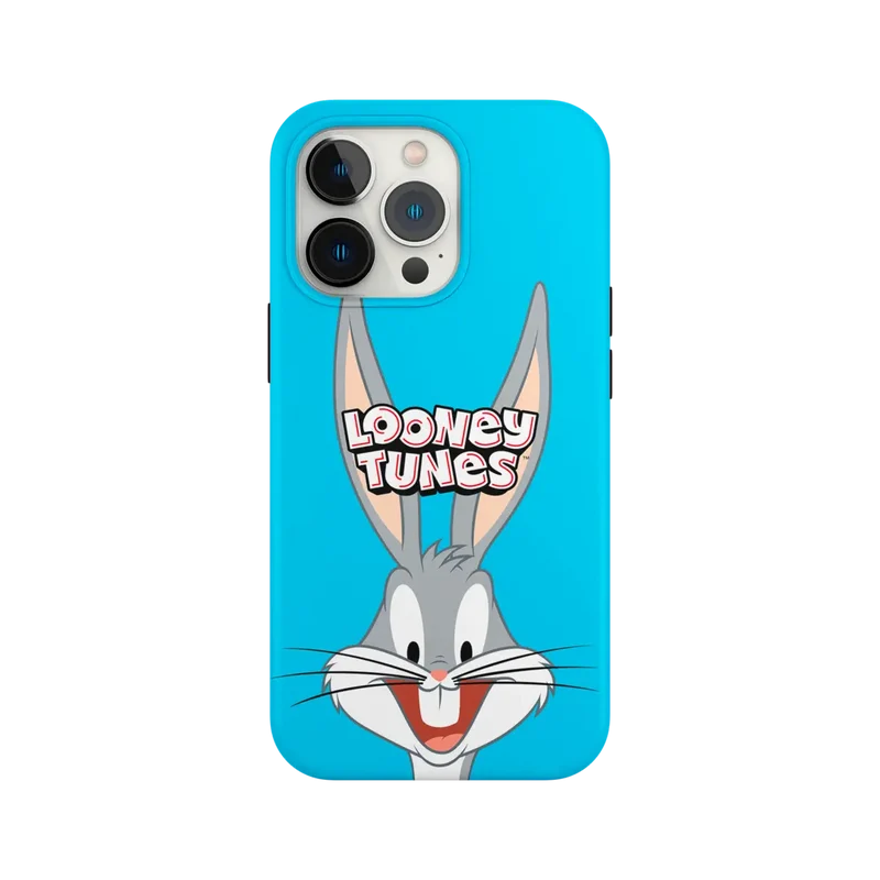 LOONEY TUNES - COVER BUGS BUNNY FUN