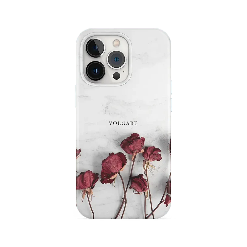 COVER - VOLGARE
